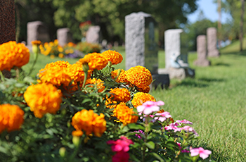 Parkers Lake Cemetery