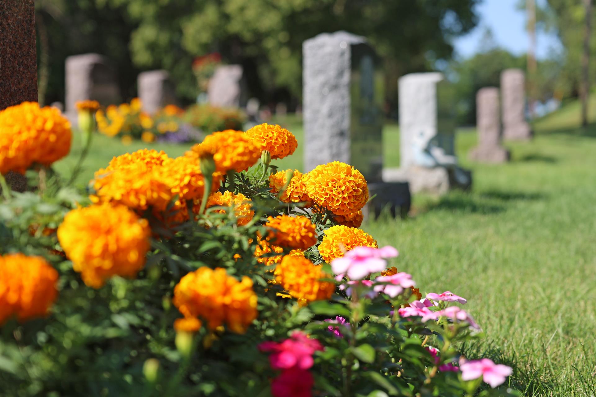 Photo of Parkers Lake Cemetery