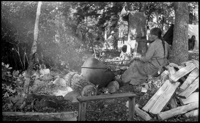 Black and white photo of a wild rice harvest