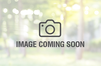 City of Plymouth parks